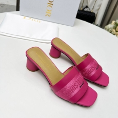 Christian Dior Slippers